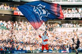 Tigers Fans at a game